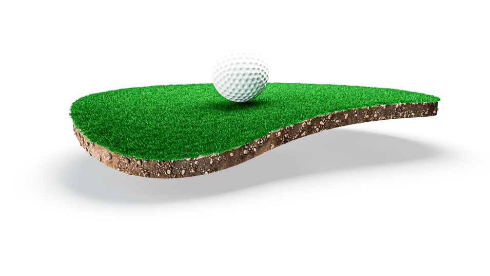 Hazır rulo çimin kök ve toprak katmanını gösteren kesit — üzerinde golf topu