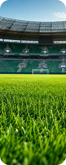 Stadyumda profesyonel spor çimi — Çiftçim çim uygulaması