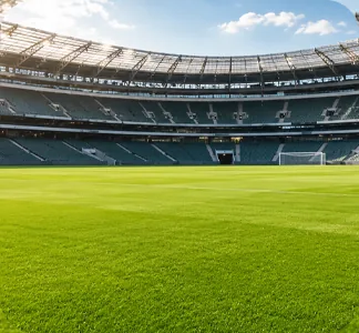 Stadyumda maç öncesi bakımı yapılmış spor çimi